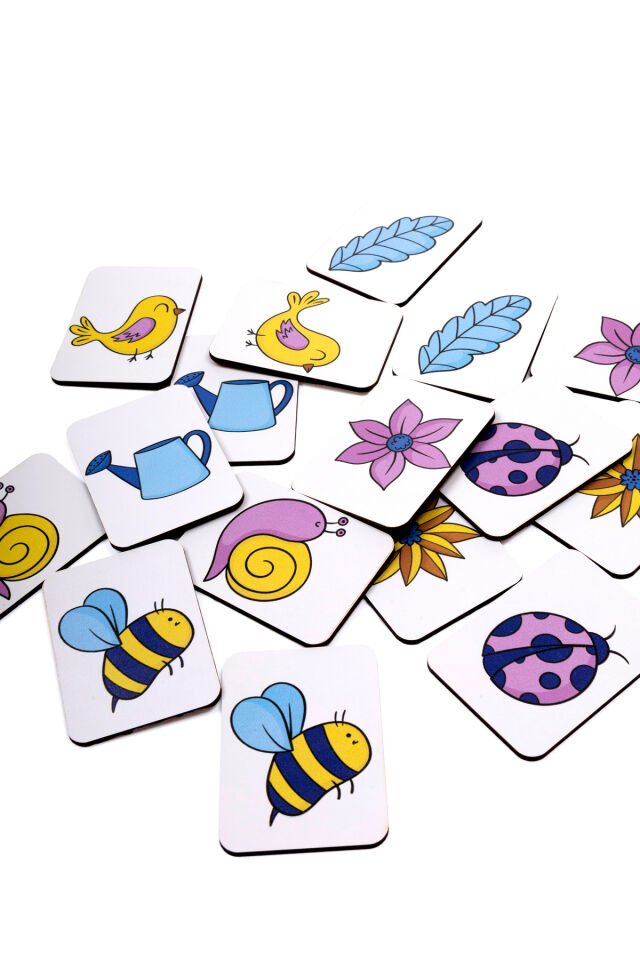 Ahşap Zeka Oyunu Eşleştirme Kartları Montessori Oyuncak