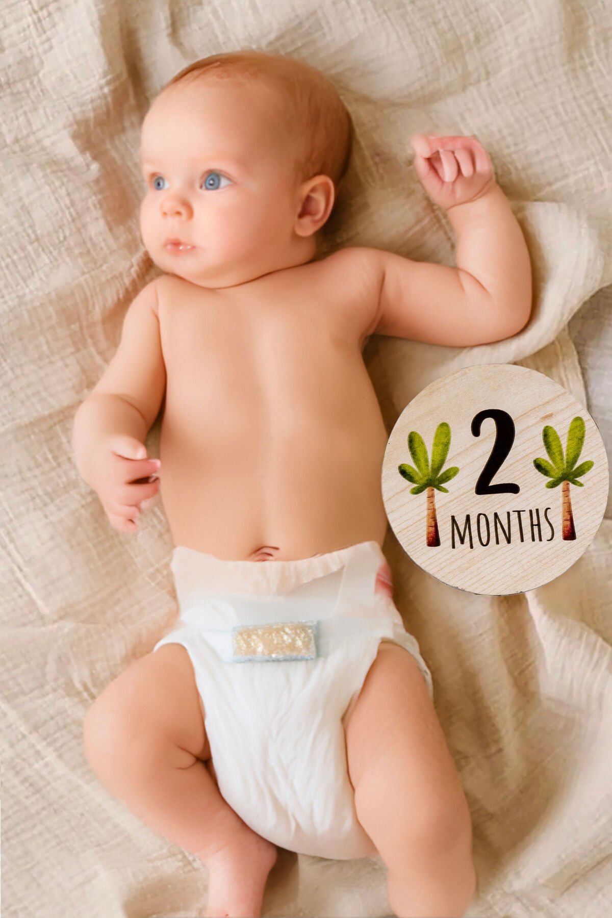 Sevimli Dinozorlar ile Ahşap Bebek Fotoğraf Çekim Kartları