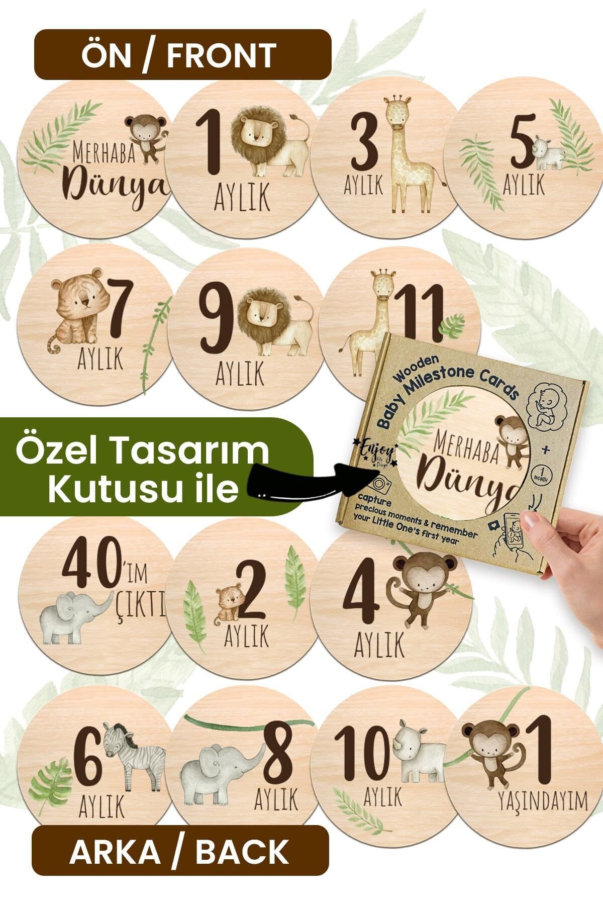 Aylık Bebek Kartları Safari Fotoğraf Çekimi Plak Seti Bebek Ay Kartları Hamile Seti