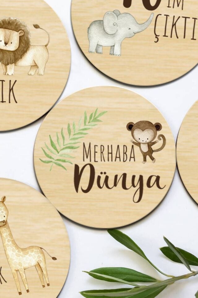 Aylık Bebek Kartları Safari Fotoğraf Çekimi Plak Seti Bebek Ay Kartları Hamile Seti