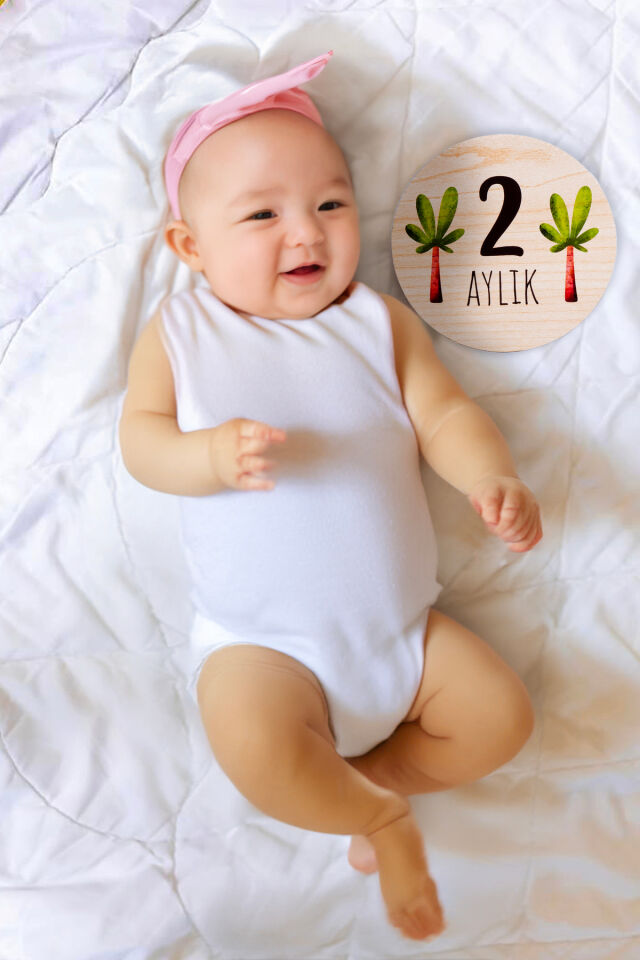 Sevimli Dinozor Temalı Ahşap Bebek Fotoğraf Çekim Anı Diskleri